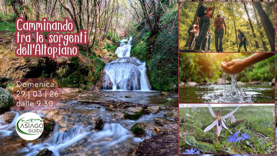 Camminando tra le sorgenti dell’Altopiano Potrebbe essere un'immagine raffigurante il seguente testo "Camminando tra le sorgenti dell'Altopiano del Domenica 29|03|26 | 26 29 03 dalle dalle9.30 9.30 م GUIDE"