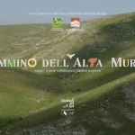 Cammino dell’Alta Murgia | Puglia Cammino dell’Alta Murgia Puglia a Andria (BT) il 30 aprile aprile - 3 maggio 2026