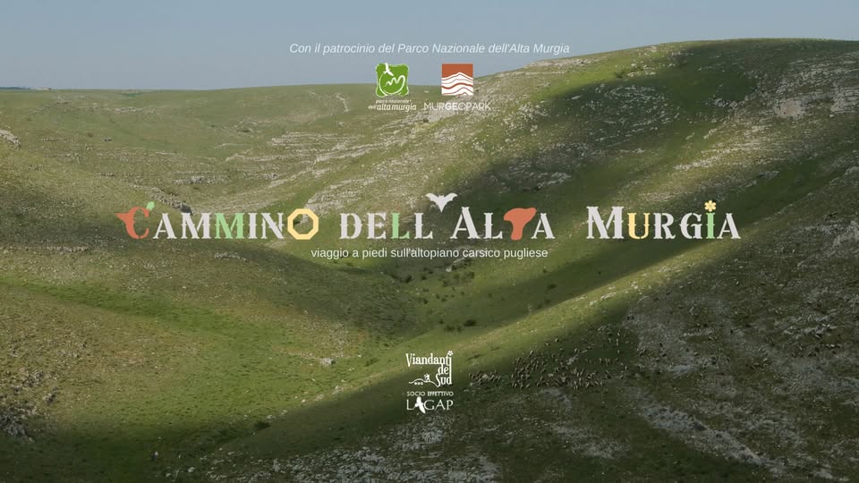 Evento Cammino dell’Alta Murgia Puglia Locandina Cammino dell’Alta Murgia Puglia - da giovedì 10 settembre - domenica 13 settembre 2026 ore 08:00 ore 17:00