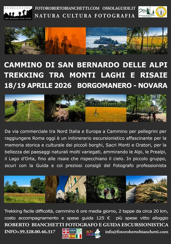 Evento Cammino di San Bernardo, trekking dalle Alpi alle risaie Piemontesi, 2 tappe Locandina Cammino di San Bernardo, trekking dalle Alpi alle risaie Piemontesi, 2 tappe - da sabato 18 aprile - domenica 19 aprile 2026 ore 08:30 ore 17:30