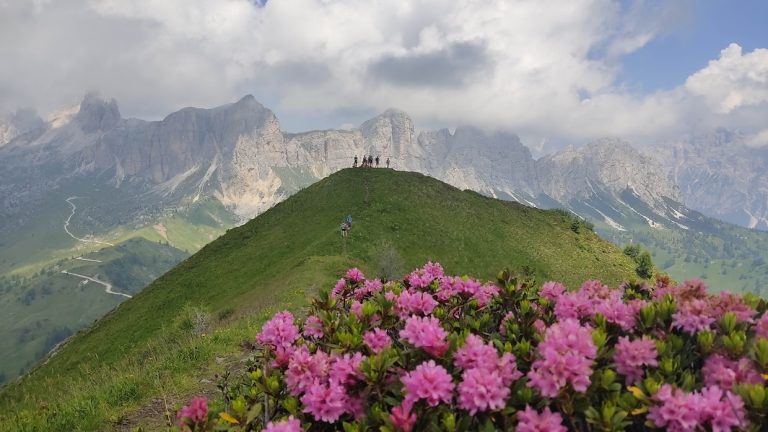 Evento Col de la Puina ai piedi del Pelmo Locandina Col de la Puina ai piedi del Pelmo - sabato 6 giugno ore 07:15 - 09:15