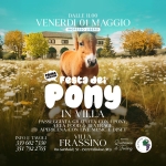 Domenica 1 Maggio_1° FESTA DEI PONY IN VILLA_ @ Villa Frassino (Villadose_RO) Potrebbe essere un'immagine raffigurante il seguente testo "DALLE16.00 DALLE 16.00 VENERDI 01 MAGGIO INGRE550 LIBERO Festadei 愛主安快区 Festa ※良神中 PONy dei IN VILLA PASSE PASSEGGIATA PASSFGCIATAGRAVTUTA.CONIPON GR RATUITACON PONY, AREAFOXOID&BENFRACIF. BEVERAGE FRAGE ARFA FOON &I APERICENA CON LIVE MUSIC DISET VIL.I.A FRASSINO Via Garibaldi, 52- 45010villadose( villadose (KO) INFOF INFOETAVOI.I TAVOLI 3396027330 39 602 7330 351 3517922765 792 22765 esmsly uestione di Feeling"