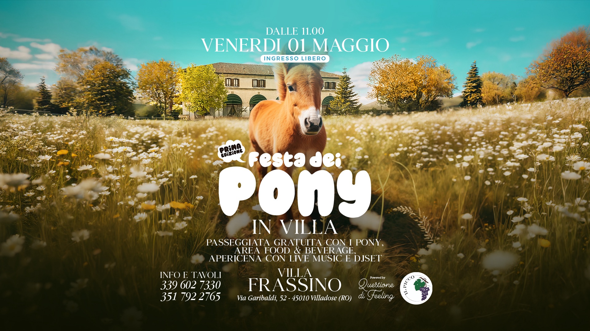 Domenica 1 Maggio_1° FESTA DEI PONY IN VILLA_ @ Villa Frassino (Villadose_RO) Potrebbe essere un'immagine raffigurante il seguente testo "DALLE16.00 DALLE 16.00 VENERDI 01 MAGGIO INGRE550 LIBERO Festadei 愛主安快区 Festa ※良神中 PONy dei IN VILLA PASSE PASSEGGIATA PASSFGCIATAGRAVTUTA.CONIPON GR RATUITACON PONY, AREAFOXOID&BENFRACIF. BEVERAGE FRAGE ARFA FOON &I APERICENA CON LIVE MUSIC DISET VIL.I.A FRASSINO Via Garibaldi, 52- 45010villadose( villadose (KO) INFOF INFOETAVOI.I TAVOLI 3396027330 39 602 7330 351 3517922765 792 22765 esmsly uestione di Feeling"