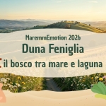 🌊 Duna Feniglia: il bosco tra mare e laguna Duna Feniglia il bosco tra mare e laguna a Orbetello (GR) il 20 settembre 2026
