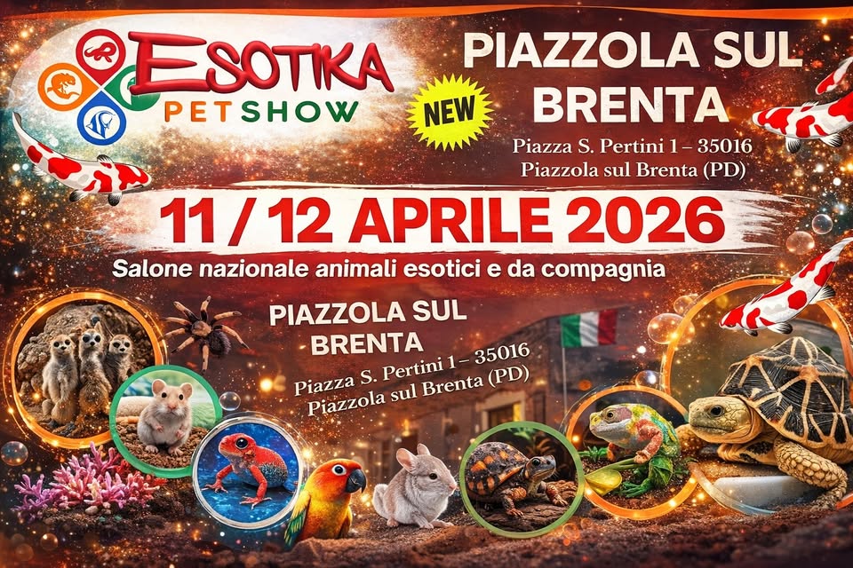 Esotika Pet Show PIAZZOLA SUL BRENTA 11/12 Aprile 2026 Potrebbe essere un'immagine raffigurante il seguente testo "ESOTIKA PETSHOW NEW PIAZZOLA SUL BRENTA Piazza S. Pertini 1 35016 Piazzola sul Brenta (PD) 11/12 12 APRILE 2026 Salone nazionale animali esotici e da compagnia PIAZZOLA SUL BRENTA Piazza S. Pertini 1- 35016 Piazzola sul Brenta (PD)"