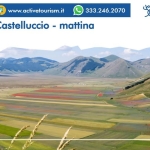 Fioritura di Castelluccio – mattina Nessuna descrizione della foto disponibile.