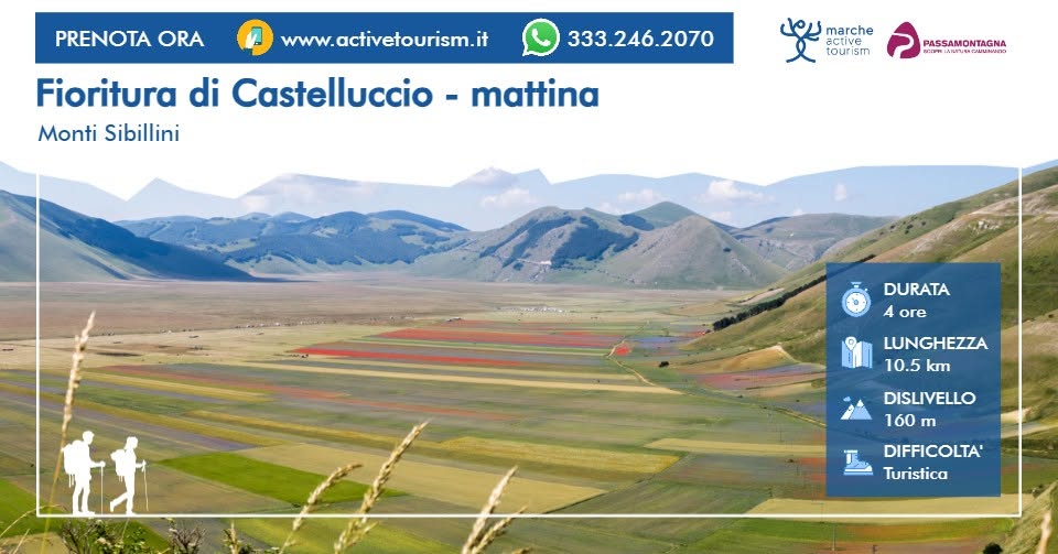 Evento Fioritura di Castelluccio – mattina Locandina Fioritura di Castelluccio – mattina - da sabato 20 giugno - domenica 5 luglio 2026 ore 09:30 ore 13:30