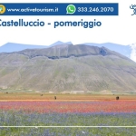 Fioritura di Castelluccio – pomeriggio Nessuna descrizione della foto disponibile.
