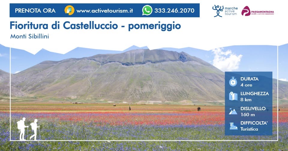 Evento Fioritura di Castelluccio – pomeriggio Locandina Fioritura di Castelluccio – pomeriggio - da sabato 20 giugno - domenica 5 luglio 2026 ore 15:00 ore 19:00