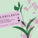 FLORILEGIA. L’erbario di Pio Bolzon, un viaggio nella memoria botanica tra storia, arte e fotografia Potrebbe essere un'immagine raffigurante non ti scordar di me, alloro di montagna, giglio rospo e il seguente testo "FLORILEGIA L'erbario di Pio Bolzon, memoria botanica un viaggio tra storia, arte nella fotografia 14 febbraio AJURO Museo civico di Asolo 21 giugno 2026"