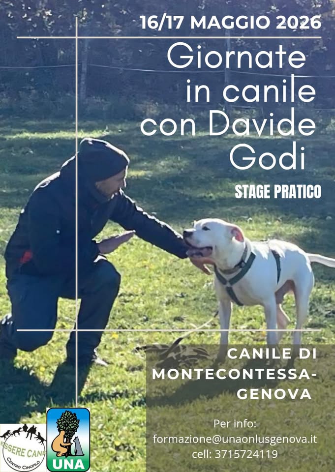 Giornate in canile con Davide Godi Potrebbe essere un'immagine raffigurante cane e il seguente testo "16/17 MAGGIO 2026 Giornate in canile con Davide Godi STAGE PRATICO CANILE DI MONTECONTESSA- GENOVA SSERE CANE మ CENTRO CANOCHOROUNA CINOFILO UNA Per info: formazione@unaonlusgenova.it cell: 3715724119"