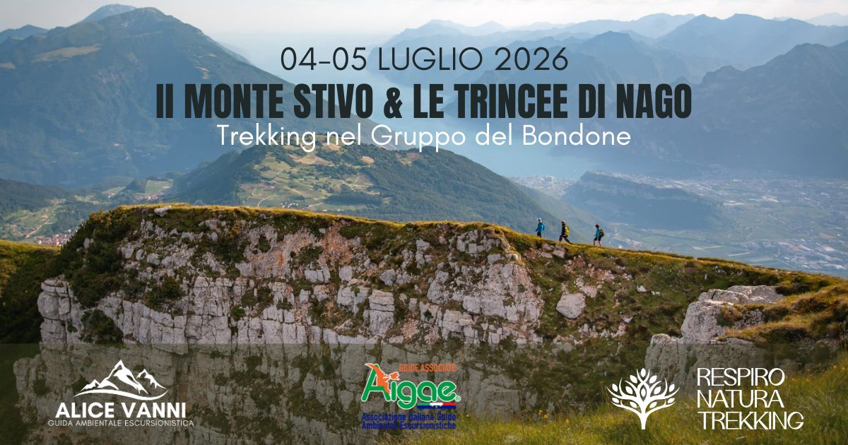 Il monte Stivo & le trincee di Nago Potrebbe essere un'immagine raffigurante il seguente testo "04-05 LUGLIO 2026 Il MONTE STIVO & LE TRINCEE DI NAGO Trekking nel Gruppo del Bondone ALICE ALICEVANNI VANNI GUIDA QUIDAMBIENTAIEESCURSIONISTICOA AMBIENTA ESCURSIONISTICA ICA UIDA Aigae ASSOCIATE RESPIRO NATURA TREKKING"