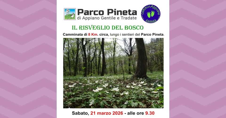Evento Il risveglio del bosco Locandina Il risveglio del bosco - sabato 21 marzo ore 09:30 - 11:30