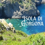 Isola di Gorgona (partenza da Livorno) Isola di Gorgona (partenza da Livorno) a Livorno (LI) il 20 luglio 2026