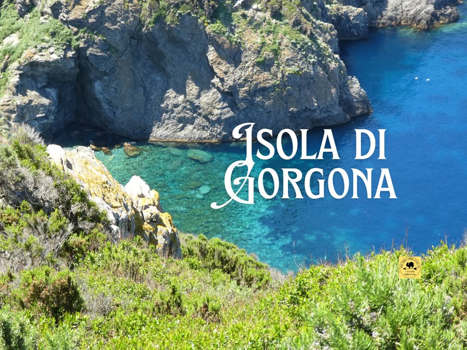 Evento Isola di Gorgona (partenza da Livorno) Locandina Isola di Gorgona (partenza da Livorno) - lunedì 20 luglio ore 08:00 - 17:30