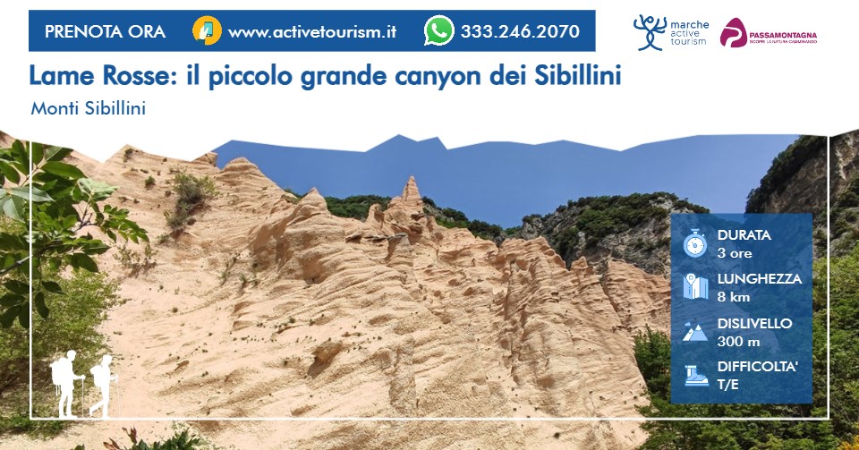 Evento Lame Rosse il piccolo grande canyon dei Sibillini Locandina Lame Rosse il piccolo grande canyon dei Sibillini - da domenica 17 maggio - domenica 15 novembre 2026 ore 09:30 ore 13:00