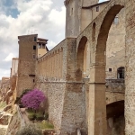 L’Anello delle castagne: le Vie Cave di Pitigliano L’Anello delle castagne le Vie Cave di Pitigliano a Pitigliano (GR) il 11 ottobre 2026