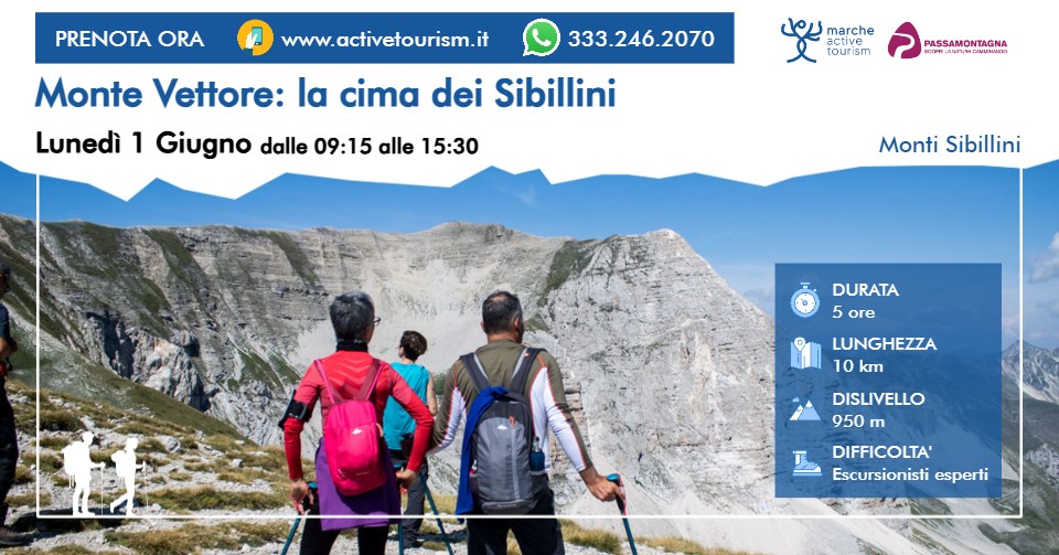Evento Monte Vettore la cima dei Sibillini Locandina Monte Vettore la cima dei Sibillini - da lunedì 1 giugno - domenica 11 ottobre 2026 ore 09:15 ore 15:30