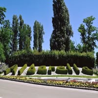 Foto di Associazione Comunione Isola di Albarella