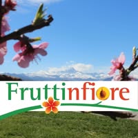 Foto di Fruttinfiore Lagnasco