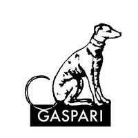 Foto di Gaspari Editore Immagine di Gaspari Editore