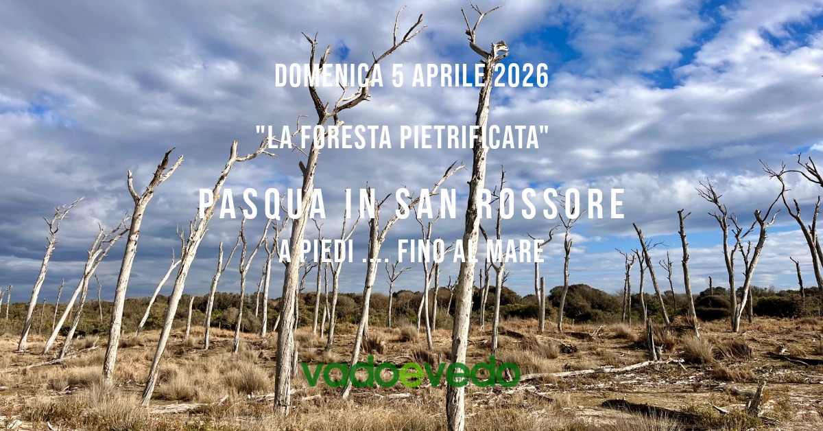 Pasqua in San Rossore … fino al mare: “La Foresta Pietrificata” Potrebbe essere un'immagine raffigurante ocotillo, albero e il seguente testo "DOM DOMENICA DOMENICA5APRILE/2026 5 APRILE/2026 "LA'FORESTA PIETRIFIC RESTAPIETRIFICATA CATA" PASQUA INASAN IN SAN ROSSORE APIEDI FINOA APIEDI...FING-ALMARE FINOARMARE MARE"