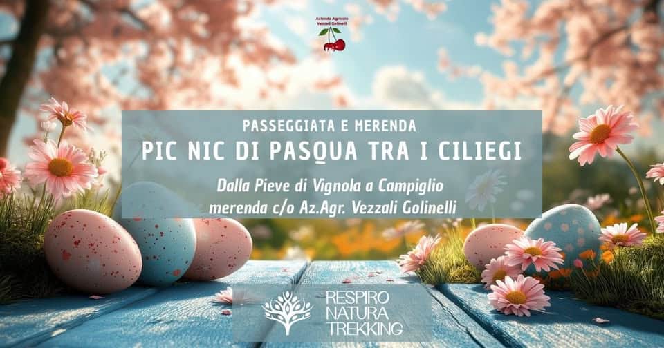 Pic Nic di Pasqua tra i Ciliegi Potrebbe essere un'immagine raffigurante testo