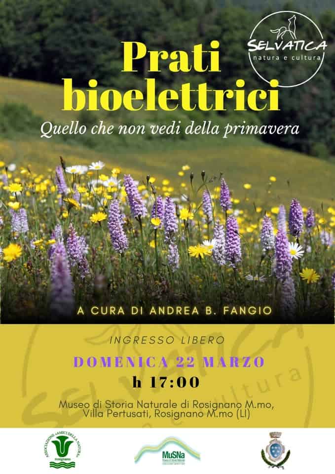 Prati bioelettrici – Quello che non vedi della primavera Potrebbe essere un'immagine raffigurante il seguente testo "Prati علر SELVATICA natura e cultura bioelettrici Quello che non vedi della primavera A CURA DI ANDREA ACURADIANDREAB.FANGIO B. FANGIO INGRESSO LIBERO DOMENICA 22 MARZO Itura h 17:00 di Storia Naturale di Rosignano M.mo, Villa Pertusati, Rosignano M.mo (Li) AMICI AMIC: rosianano MuSNa :n"