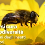 PRENDERSI CURA DELLA BIODIVERSITA Prendersi Cura Della Biodiversità a Zuigno (VA) il 1 marzo marzo - 27 settembre 2026