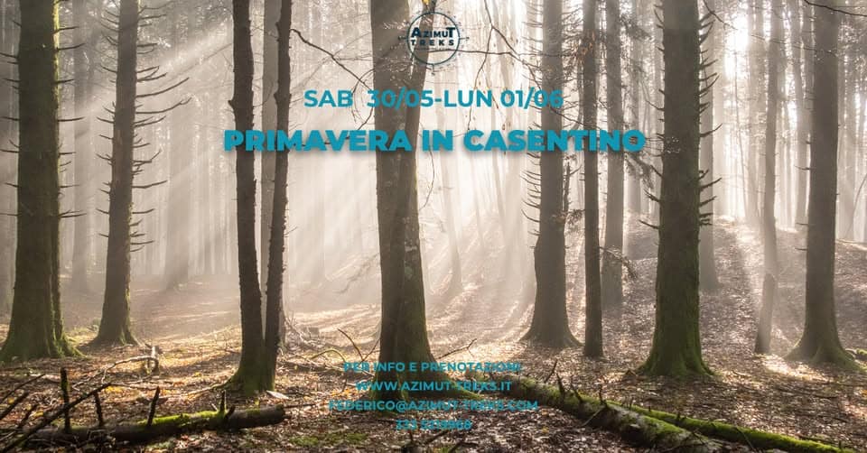 Primavera in Casentino Potrebbe essere un'immagine raffigurante nebbia e il seguente testo "SAB 30/05-LUN.01/06 PRIMAVERA IN PRIMAVERAINCASENTINO CASENTINO ER ERINFO ERINFOEPRENOTAZIONI RI PRENOT 2S Www. WWW.AZIMUT-TREKS.IT AZIMUT-TREK .AZIMUT EDERICO@AZIMUT-TRI RICO@AZIMbT-TREKS.COM 3335219968 5219968 333"