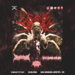 SINGS OF THE SWARM @Damage Inc, Verona Sings Of The Swarm @Damage Inc, Verona a San Giovanni Lupatoto (VR) il 2 agosto 2026