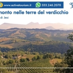 Staffolo, tramonto nelle terre del verdicchio + degustazione Nessuna descrizione della foto disponibile.