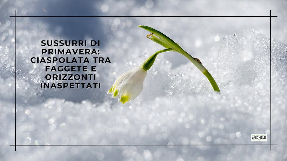 Evento Sussurri di Primavera Ciaspolata tra Faggete e Orizzonti Inaspettati Locandina Sussurri di Primavera Ciaspolata tra Faggete e Orizzonti Inaspettati - domenica 1 marzo ore 09:00 - 12:30