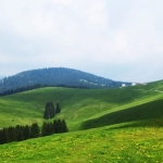 🚵♂️ Tour guidato Altipiano Asiago bike experience Nessuna descrizione della foto disponibile.