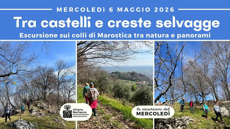 TRA CASTELLI E CRESTE SELVAGGE | Escursione sulle colline di Marostica Potrebbe essere un'immagine raffigurante il seguente testo "MERCOLEDI 6 MAGGIO 2026 T castelli e creste selvagge Escursione sui colli di Marostica tra natura e panorami Chiara Bertac Bert ertacco ambientala noca Idaambientale oscursionistica le escursioni del MERCOLEDÌ ါ"