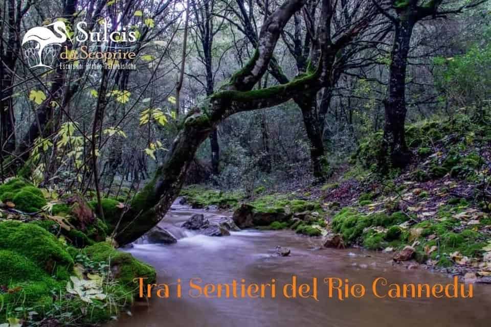 Tra i Sentieri del Rio Cannedu & Visita al Protonuraghe Monte Atzei Potrebbe essere un'immagine raffigurante testo