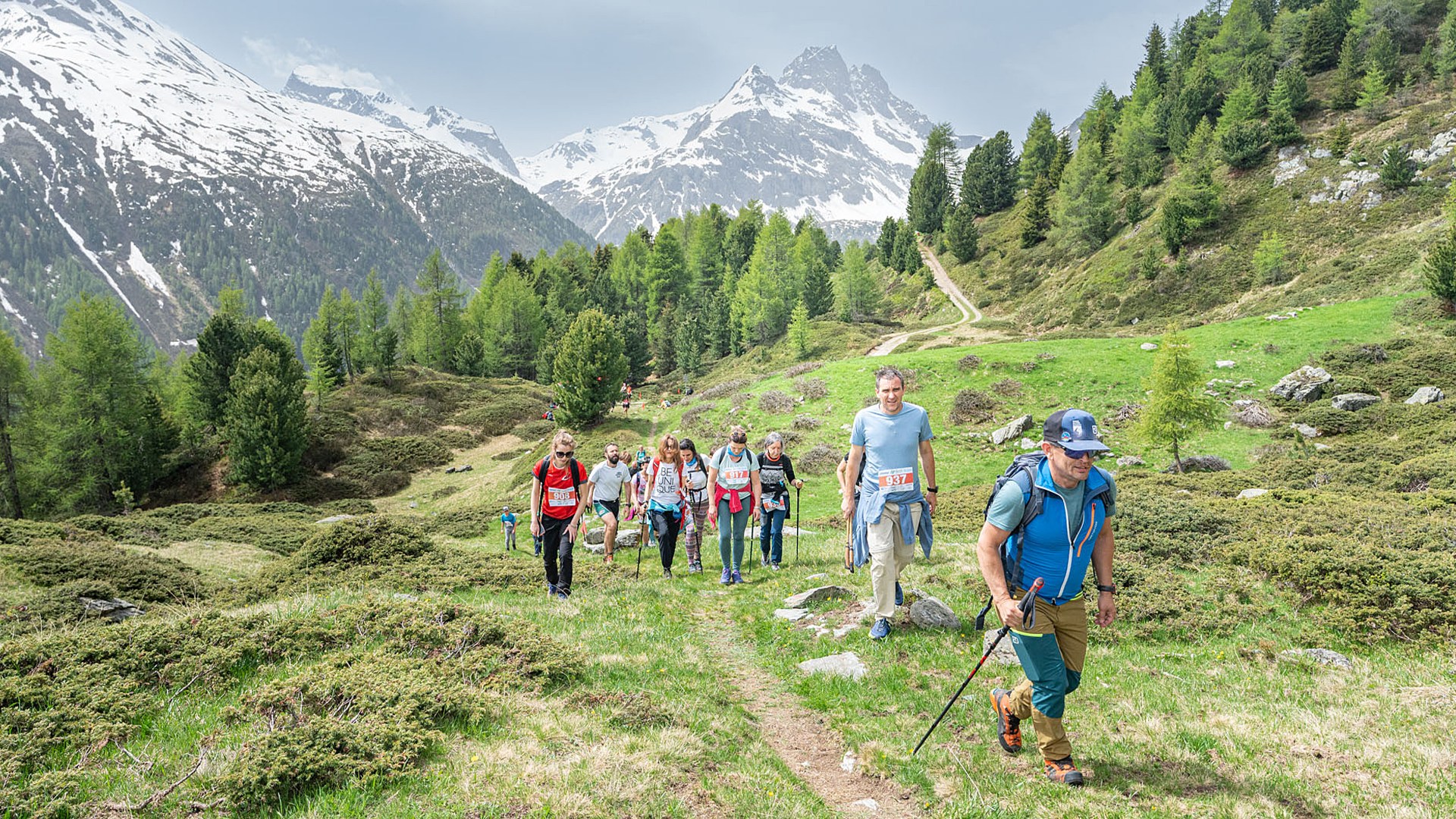 TrailRun Alta Valtellina | Camminata con ristoro Potrebbe essere un'immagine raffigurante una o più persone, erba e montagna