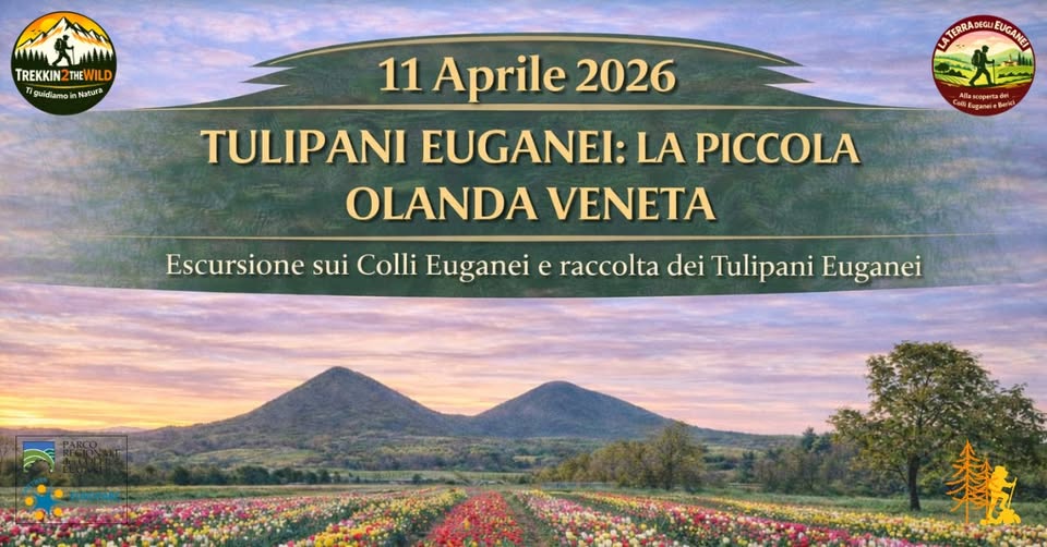 Potrebbe essere un'immagine raffigurante ‎il seguente testo "‎TREKKIN TREKKIN2THEWILD THEWILD iguidiam guidiamoinNatur مما Natura ΝπRRл.e EUGANCI 11 Aprile 2026 TULIPANI EUGANEI: LA PICCOLA OLANDA VENETA Allasesperta.dri Berick Escursione sui Colli Euganel e raccolta dei Tulipani Euganei‎"‎