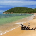 Vivi l’Incanto della Toscana: Yoga, Mare e Pace Interiore Vivi l'Incanto della Toscana Yoga, Mare e Pace Interiore