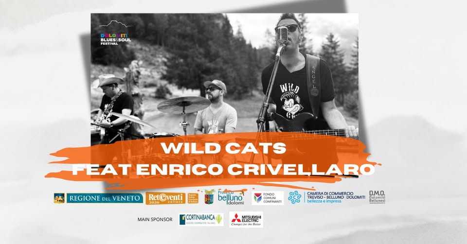 Evento Wild Cats Feat Enrico Crivellaro Locandina Wild Cats Feat Enrico Crivellaro - sabato 15 agosto ore 21:00 - 23:00