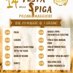 14ª Festa della Spiga 🌾 14a Festa della Spiga a Pojana Maggiore (VI) il 29 maggio maggio - 6 giugno 2026