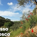 A SPASSO NEL BOSCO A Spasso Nel Bosco a Assisi (PG) il 12 aprile aprile - 6 dicembre 2026