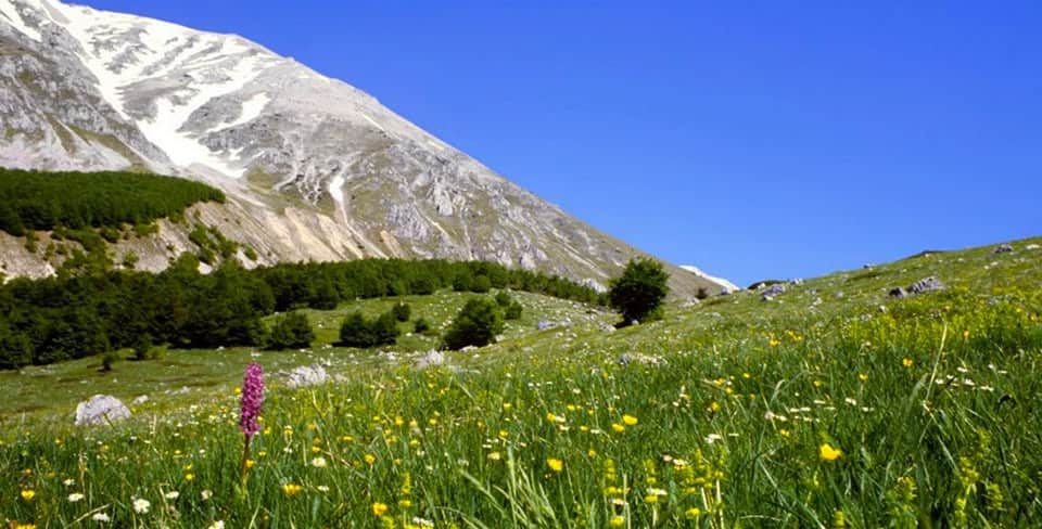 Evento Abruzzo 2026 con Garganowunderland dal Monte Mileto ai sentieri agropastorali della Maiella Locandina Abruzzo 2026 con Garganowunderland dal Monte Mileto ai sentieri agropastorali della Maiella - da sabato 23 maggio - domenica 24 maggio 2026 ore 10:00 ore 16:00