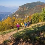 Alchimia d’Autunno – Una danza tra le foglie e la riflessione Alchimia d’Autunno – Una danza tra le foglie e la riflessione a Folgaria (TN) il 26 settembre settembre - 24 ottobre 2026