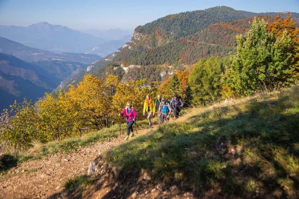 Evento Alchimia d’Autunno – Una danza tra le foglie e la riflessione Locandina Alchimia d’Autunno – Una danza tra le foglie e la riflessione - da sabato 26 settembre - sabato 24 ottobre 2026 ore 10:00 ore 12:30
