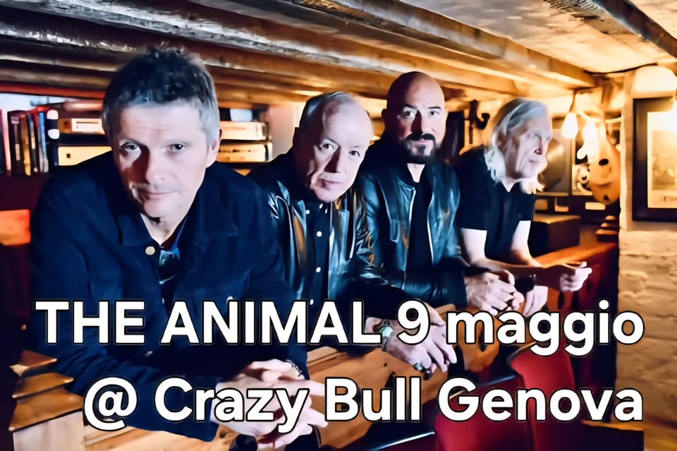 Evento Animals Live Crazy Bull Genova Locandina Animals Live Crazy Bull Genova - sabato 9 maggio ore 21:00 - 23:00