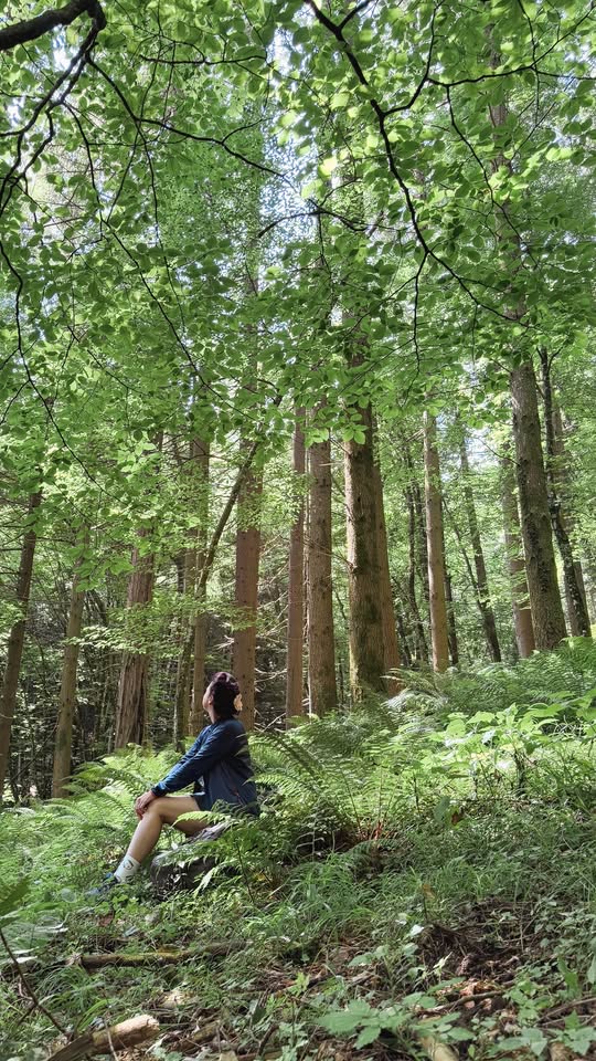Evento ASCOLTA LA FORESTA esperienza di forest bathing a Ridracoli Locandina ASCOLTA LA FORESTA esperienza di forest bathing a Ridracoli - da domenica 12 aprile - domenica 26 luglio 2026 ore 09:30 ore 13:15