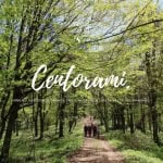Centorami e il Bosco Grande: Alta Valle del Bradano | Basilicata Centorami e il Bosco Grande Alta Valle del Bradano Basilicata a Ripacandida (PZ) il 19 aprile 2026