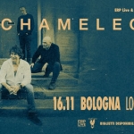 Chameleons @ Bologna Chameleons - Bologna
