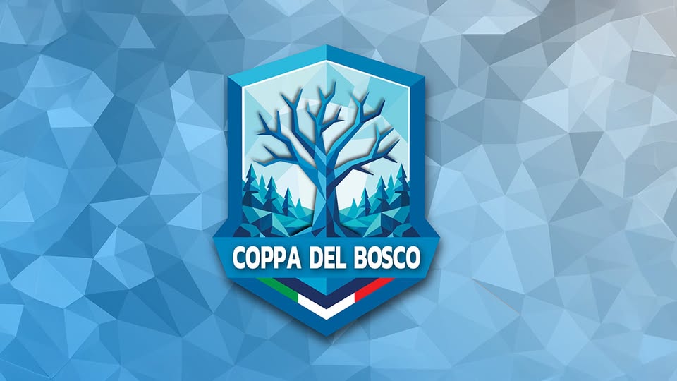 Evento Coppa del Bosco – torneo di calcio a6 Locandina Coppa del Bosco – torneo di calcio a6 - lunedì 11 maggio ore 20:30 - 22:30